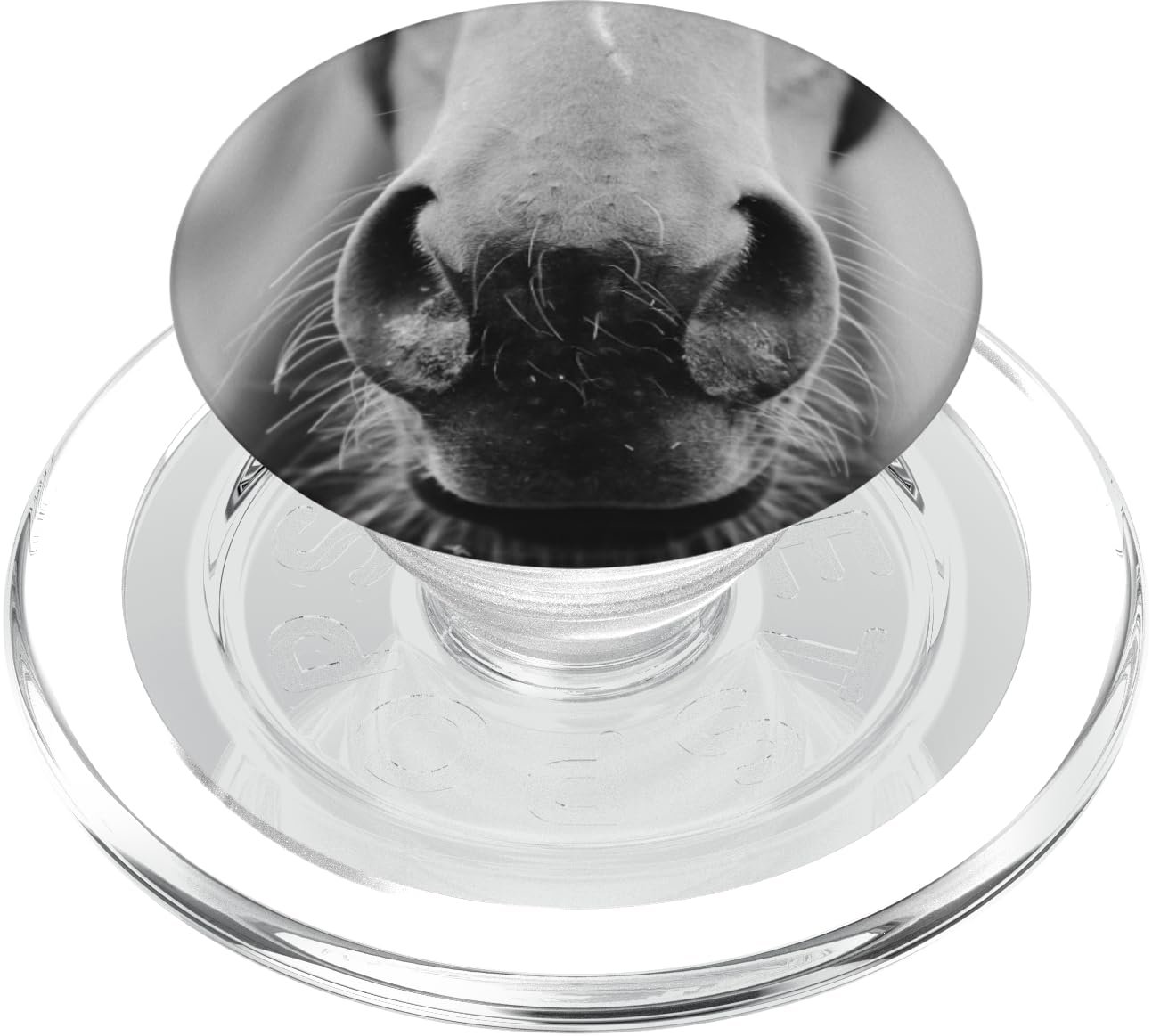 Horse Popsockets Popgrip: Swappable Grip For Phones & Tablets Popsockets Popgrip For Magsafe